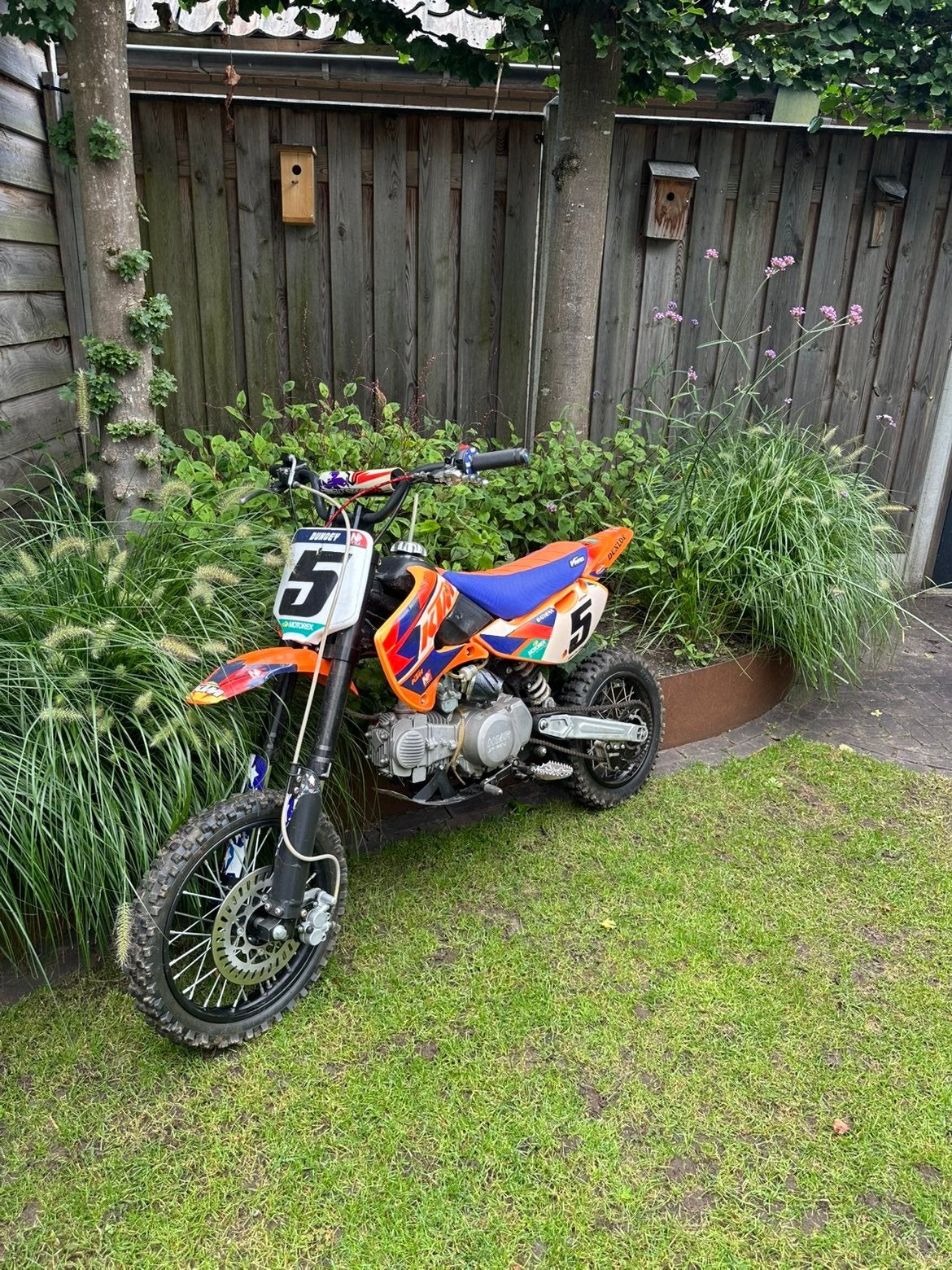 pitster pro pitbikes 150 cc, Ophalen, Pitbike