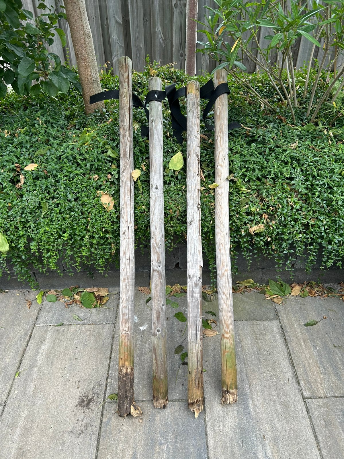 4 boompalen, Tuin en Terras, Ophalen, Gebruikt, Minder dan 180 cm, Palen