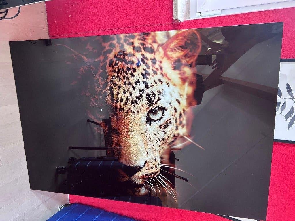 Glasschilderij panter 120x80, Ophalen, Zo goed als nieuw, Schilderij, 100 tot 125 cm