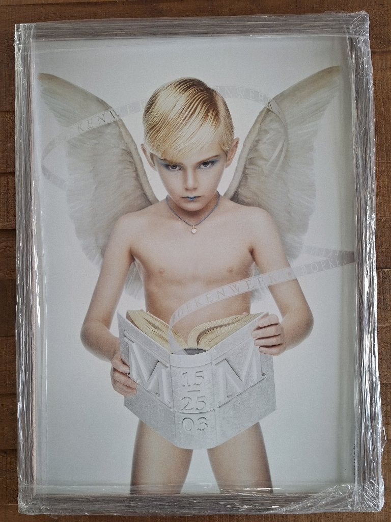 Erwin olaf ingelijst, Ophalen, Zo goed als nieuw, Erwin Olaf, Overige onderwerpen