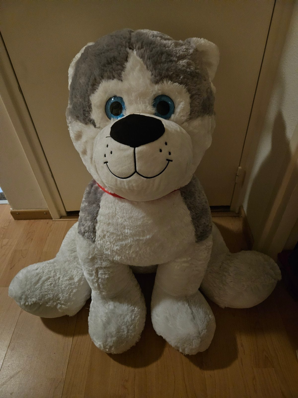 grote knuffelhond, Ophalen