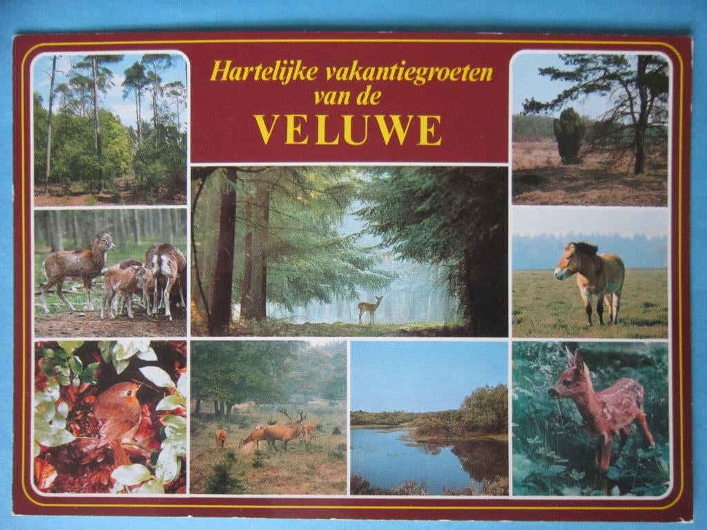 Ansichtkaart: Hartelijke vakantiegroeten van de Veluwe., Ophalen of Verzenden, 1980 tot heden, Gelopen, Overige soorten
