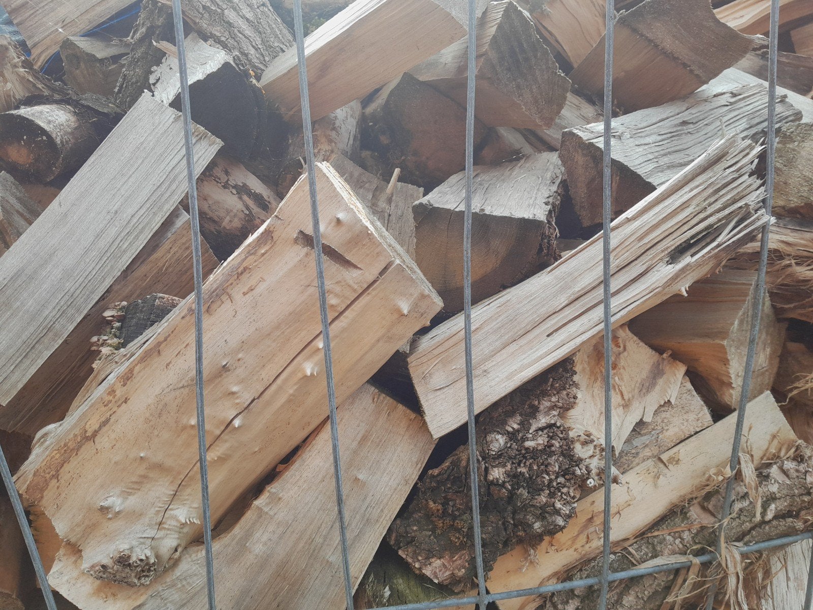 populieren droog haardhout, Ophalen of Verzenden