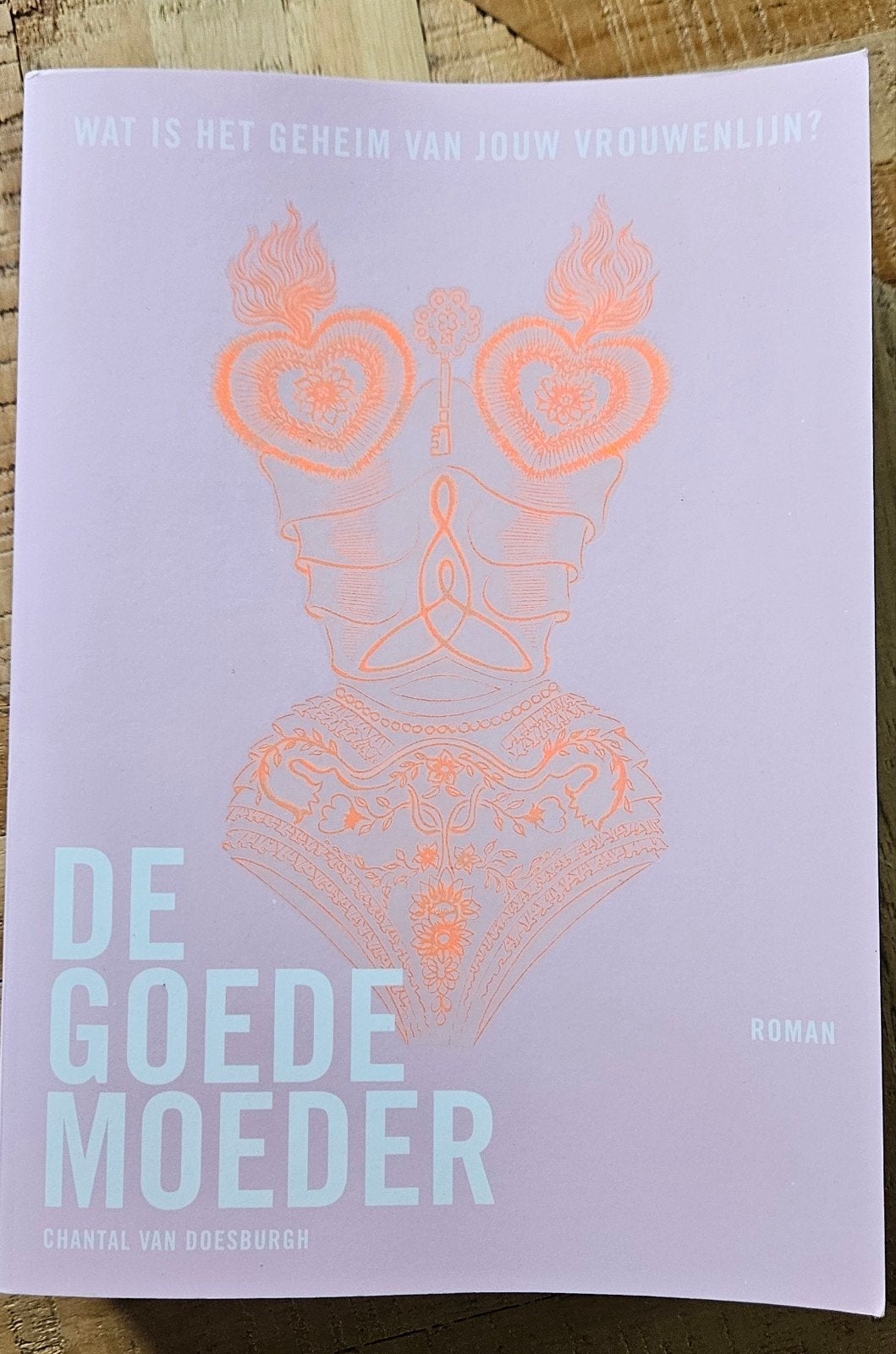Chantal van Doesburgh - De Goede Moeder, Ophalen of Verzenden, Zo goed als nieuw, Chantal van Doesburgh