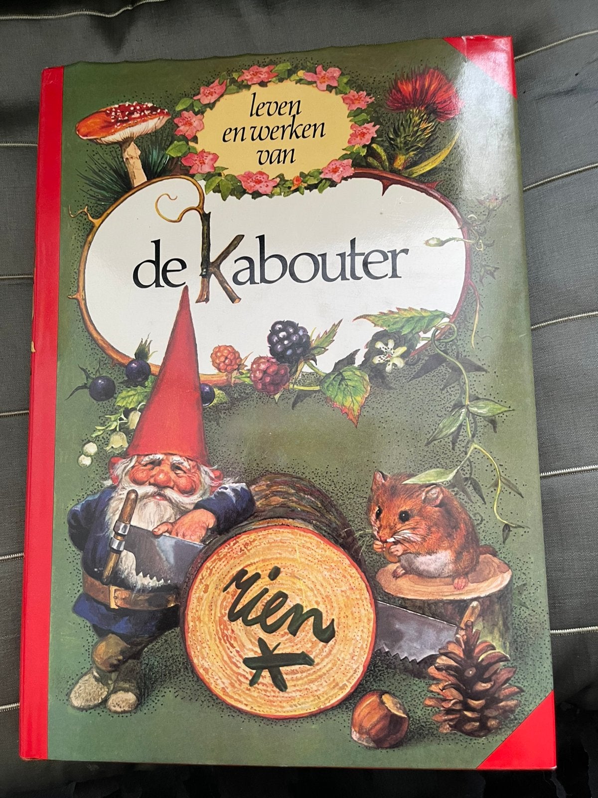 Het leven  van een kabouter, Ophalen of Verzenden, Zo goed als nieuw