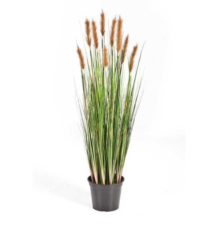 Kunstplant Vossenstaart Gras Bruin 180 cm, Huis en Inrichting, 180 cm, Groen, Unicorn Displays, Kunstplant