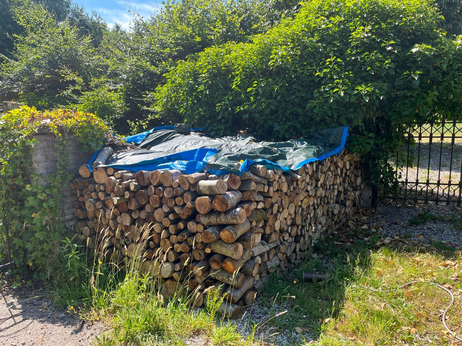 15m³ gezaagd berken en kersen brandhout, 6 m³ of meer, Ophalen, Berkenhout, Blokken
