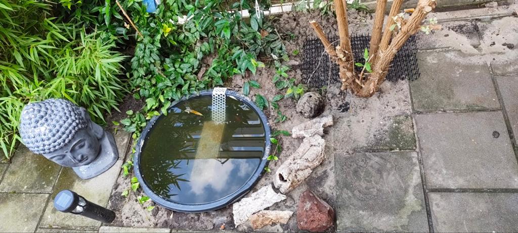 Vijverbak met drie vissen, Tuin en Terras, Vijvers, Gebruikt, Ophalen
