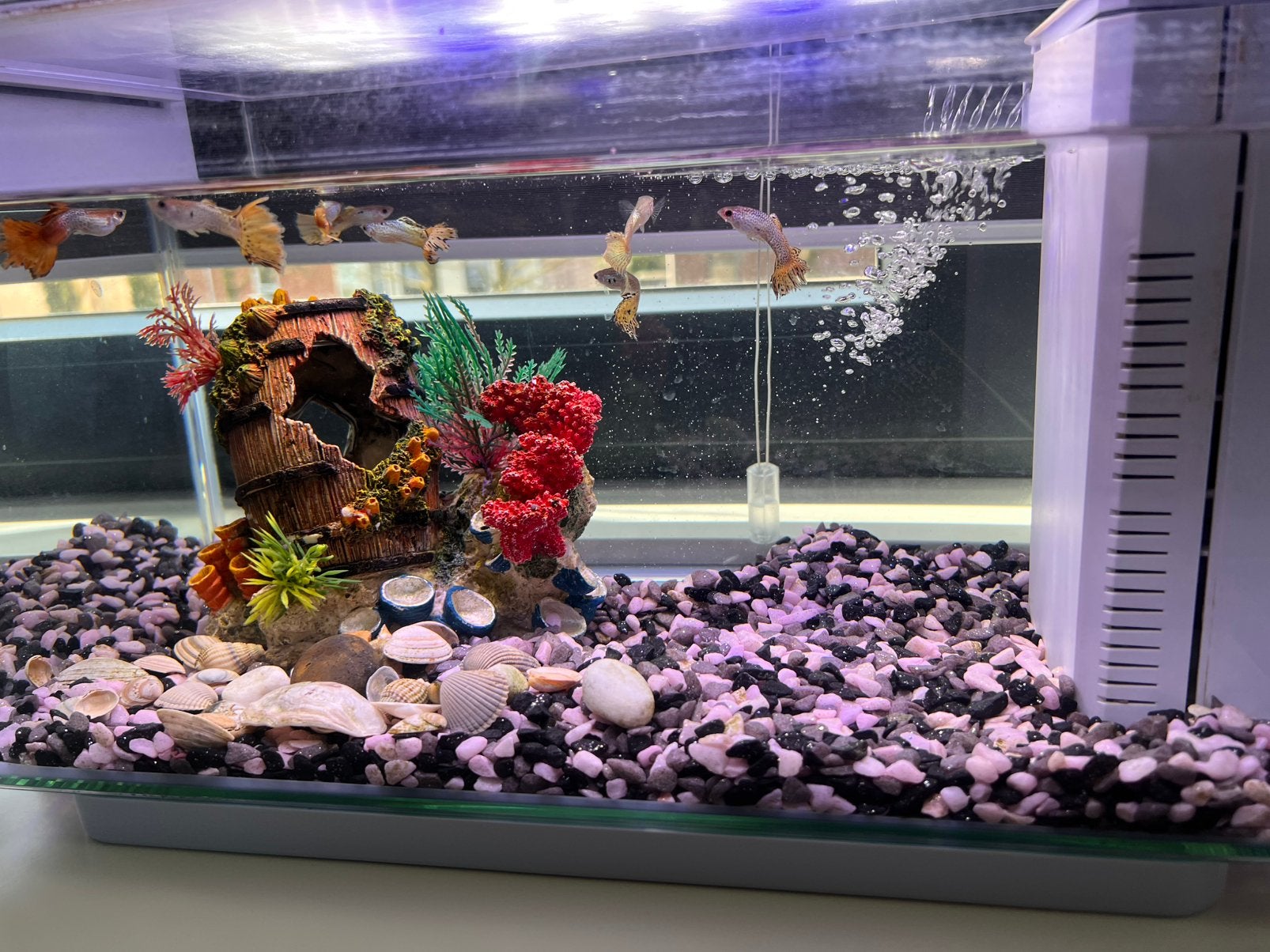 Compact aquarium te koop, Ophalen, Gebruikt, Leeg aquarium