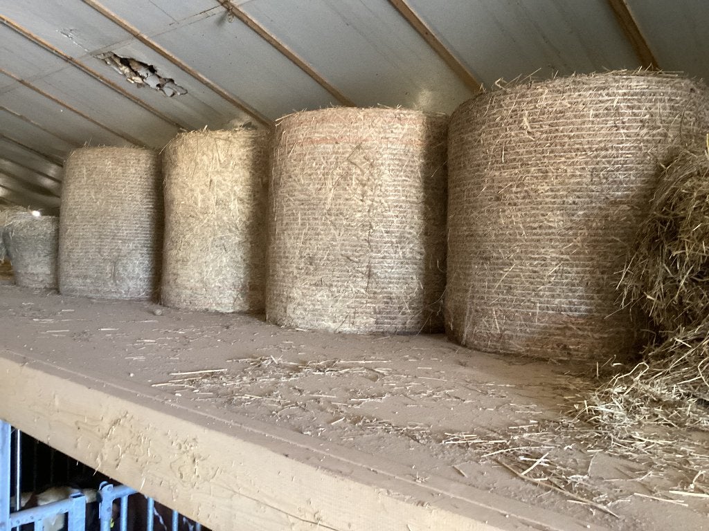 Natuurstrooisel met weinig onkruid €.35,-, Ophalen of Verzenden, Vee
