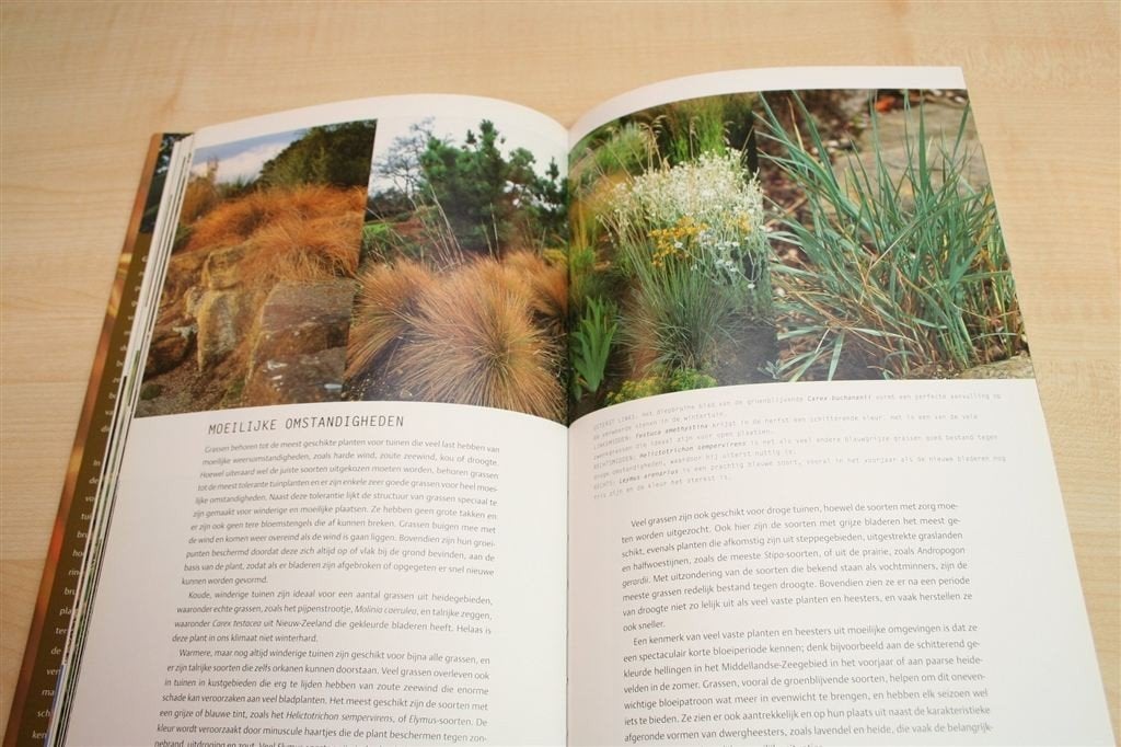 Grassen & Bamboes — Prachtboek voor Tuinontwerp & Inspiratie, Ophalen of Verzenden, Zo goed als nieuw, Interieur en Design
