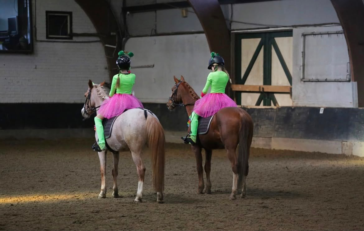 Bijrijdpony(s) gezocht omgeving heemskerk en omringd!, Ophalen of Verzenden, Nieuw