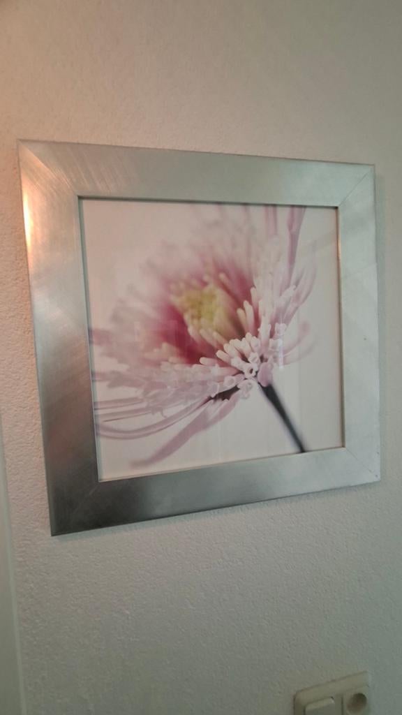 2x mooie afbeeldingen in lijsten van roze bloemen, Ophalen, Minder dan 50 cm, Zo goed als nieuw, Schilderij