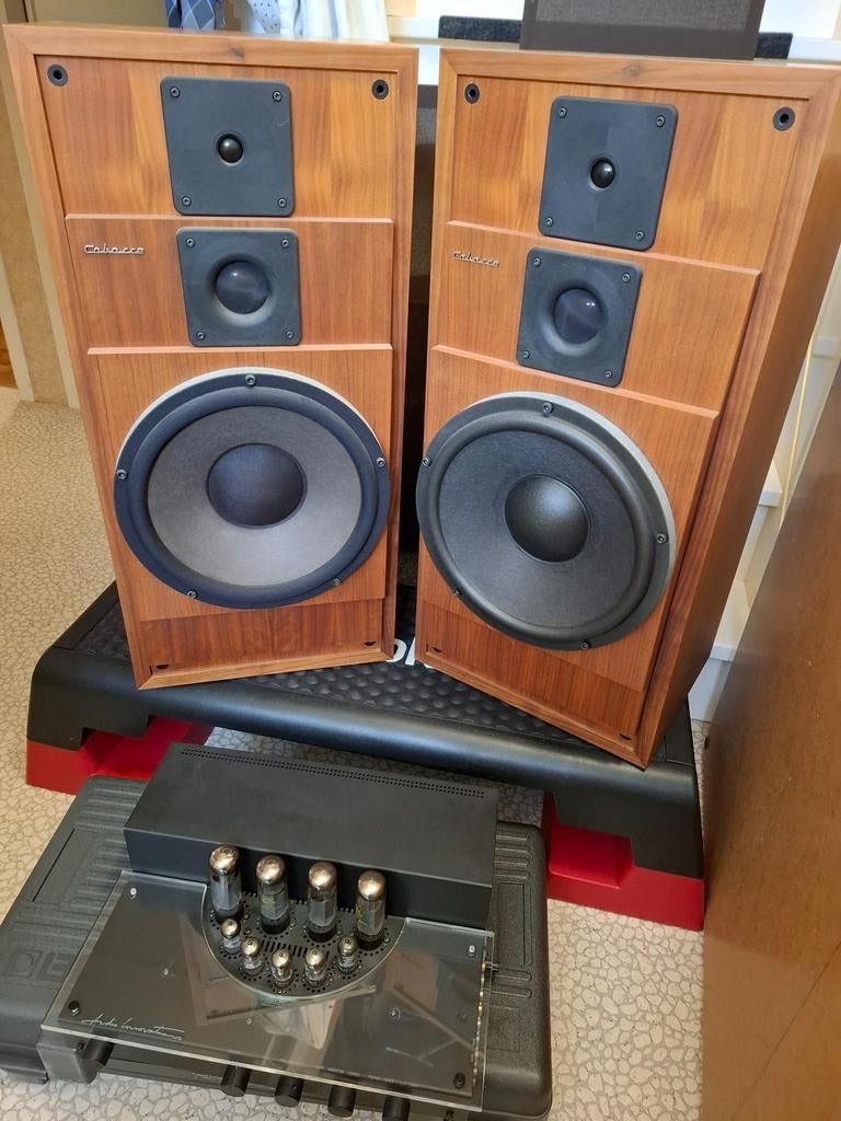Buizenversterker Audio innovations en Cabasse boxen Clipper, Audio, Tv en Foto, Luidsprekers, Gebruikt, Overige typen, 120 watt of meer