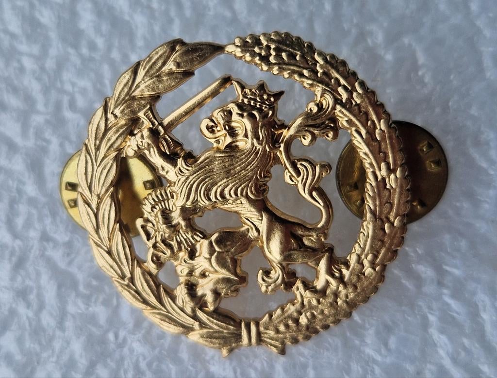 Insigne Functie
bekwaamheidsembleem
voor DT, Ophalen of Verzenden, Landmacht, Nederland, Embleem of Badge
