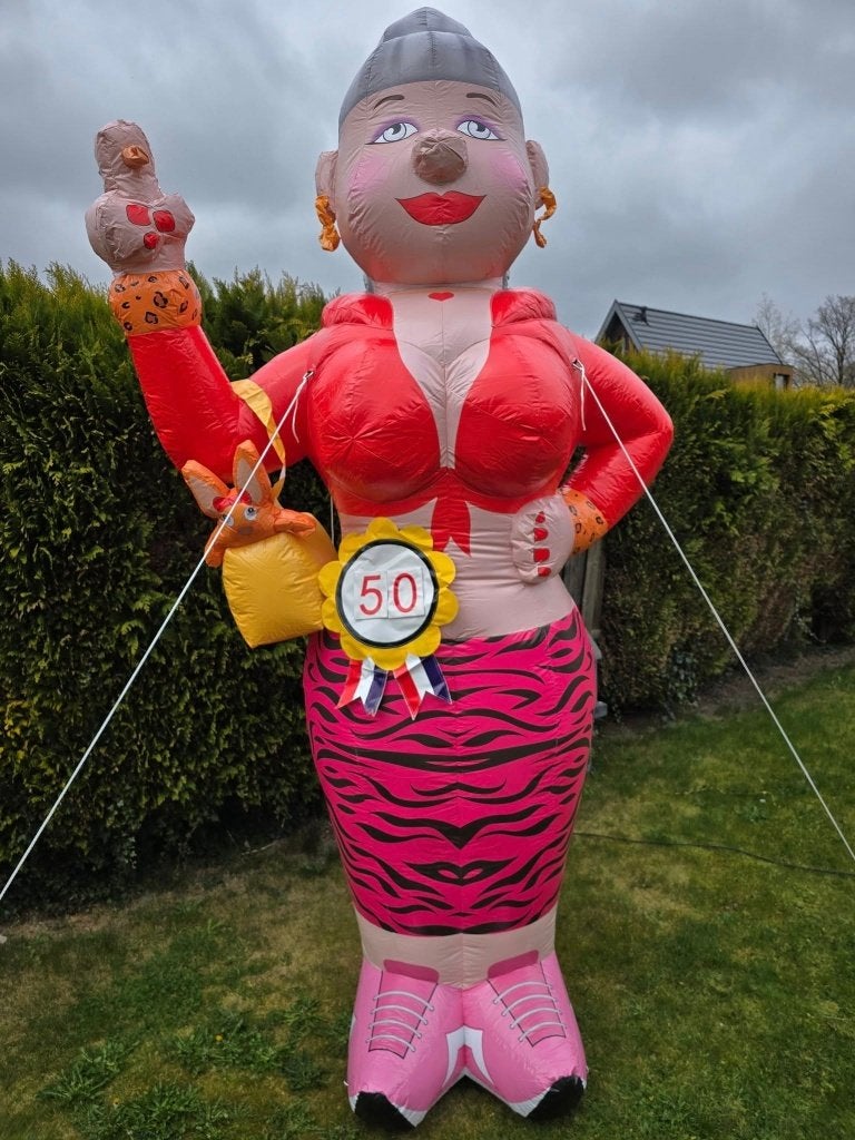 Sarah ordinair te huur, Ophalen, Zo goed als nieuw, Abraham of Sarah