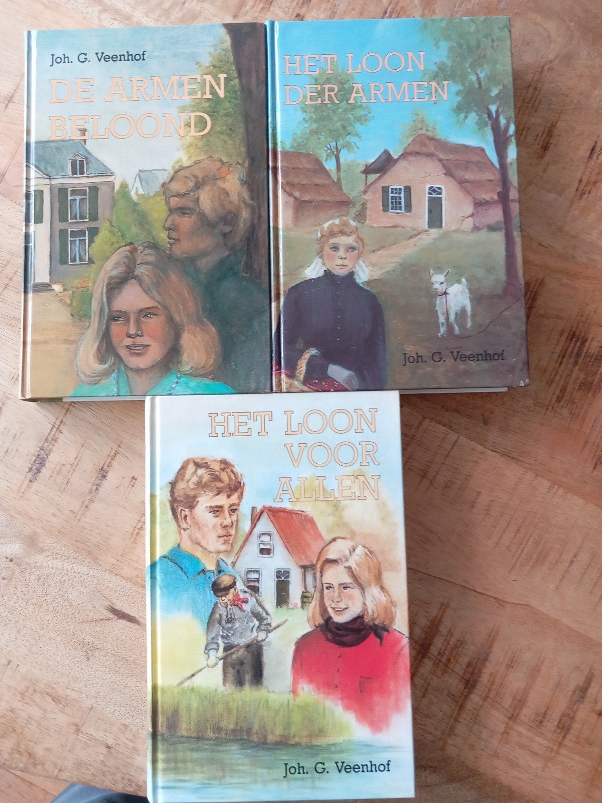 Triologie van Joh. Veenhof., Ophalen of Verzenden, Zo goed als nieuw