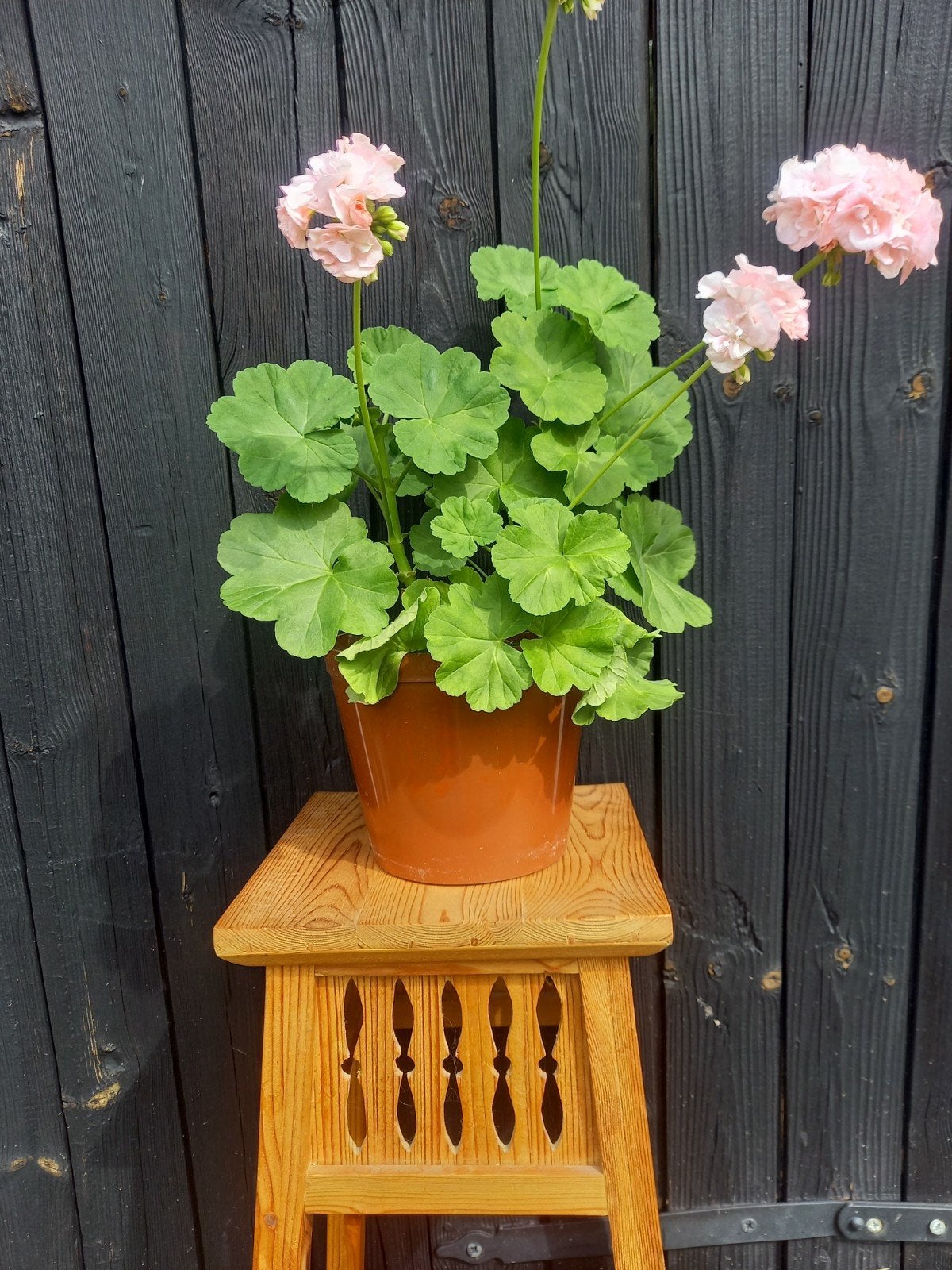 Zweeds handgemaakt plantentafeltje met mooie details., Ophalen of Verzenden