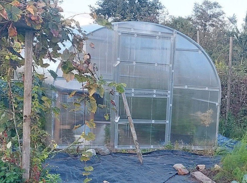 koude kas en fruitbomen, Ophalen of Verzenden