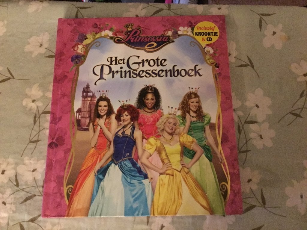 Leesboek, Het Grote Prinsessenboek, Ophalen of Verzenden, Zo goed als nieuw, Studio 100, Fictie algemeen