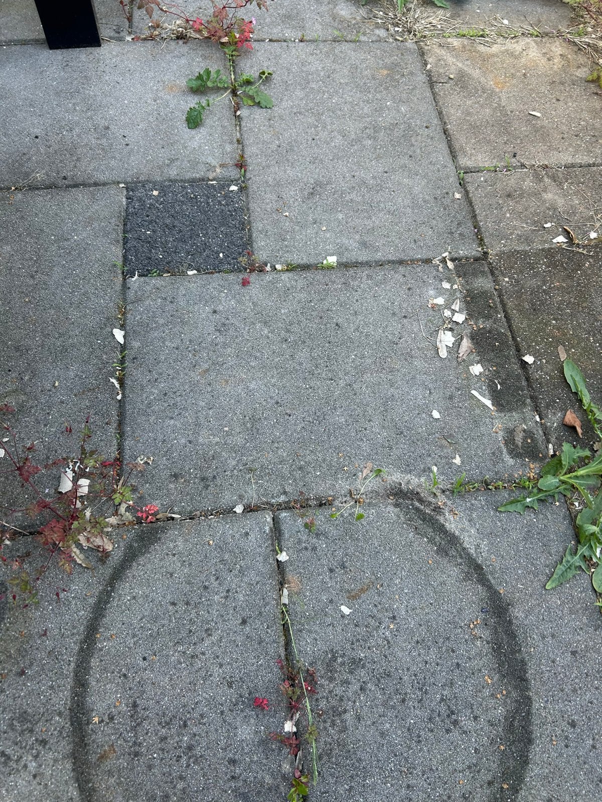 Betontegels 60x40 grijs en 20x20 zwart, Ophalen, Gebruikt, 10 m² of meer, Beton
