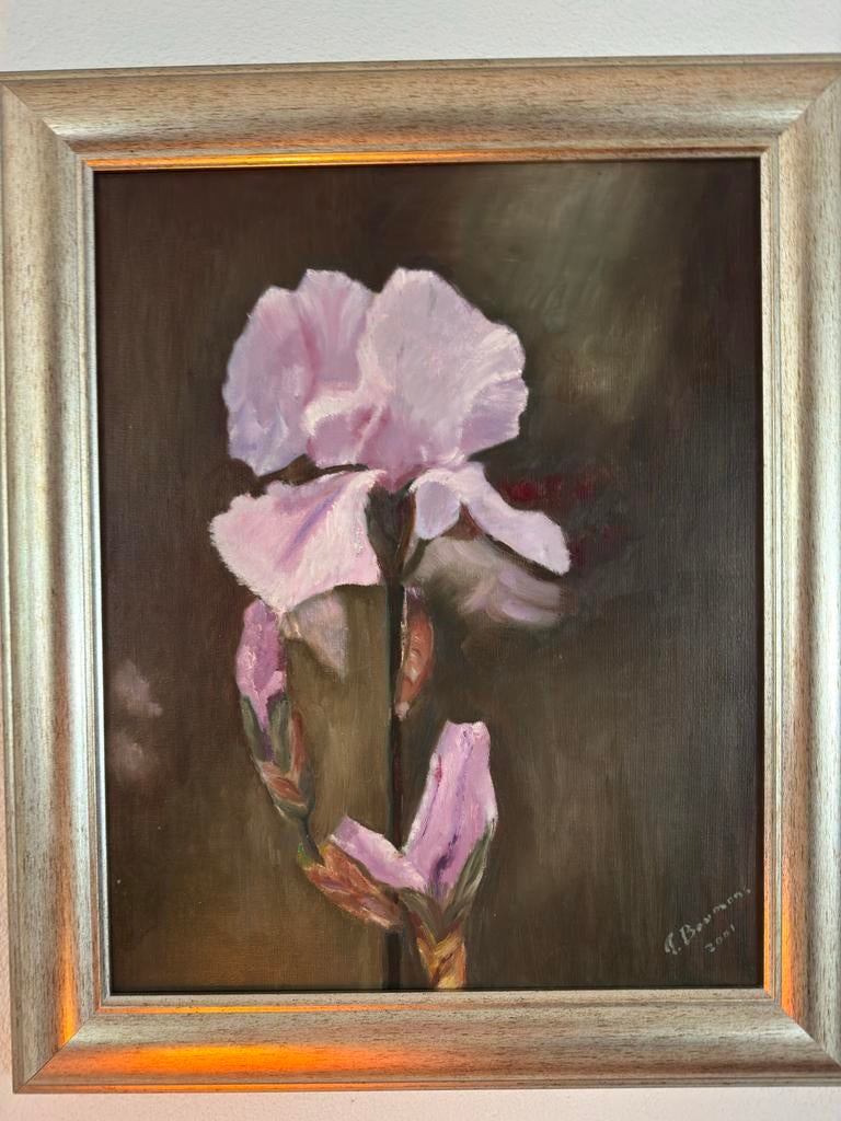 Schilderij Roze Iris, Ophalen of Verzenden