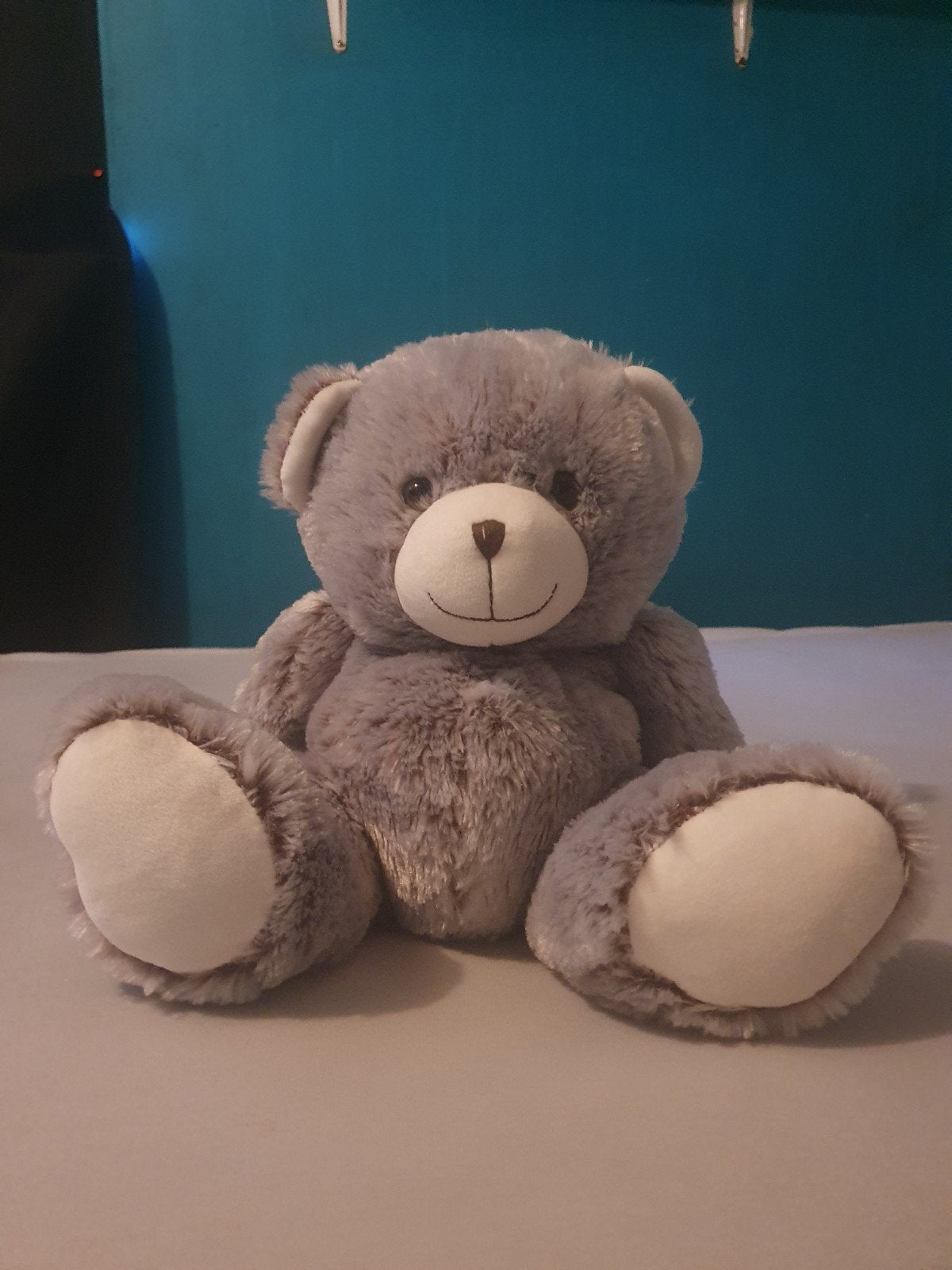 Zachte grijze teddybeer knuffel, Ophalen, Overige merken, Overige karakters, Beer