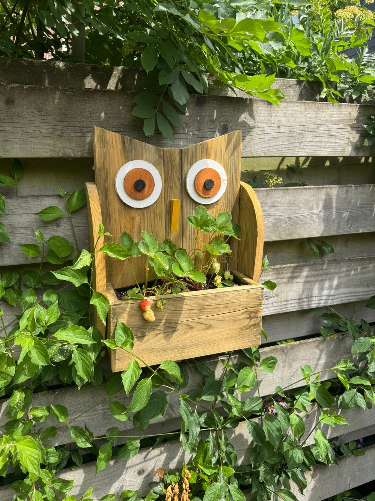 Tuinuiltje - vrolijke plantenbak, Minder dan 30 cm, Ophalen of Verzenden, Zo goed als nieuw, Rechthoekig