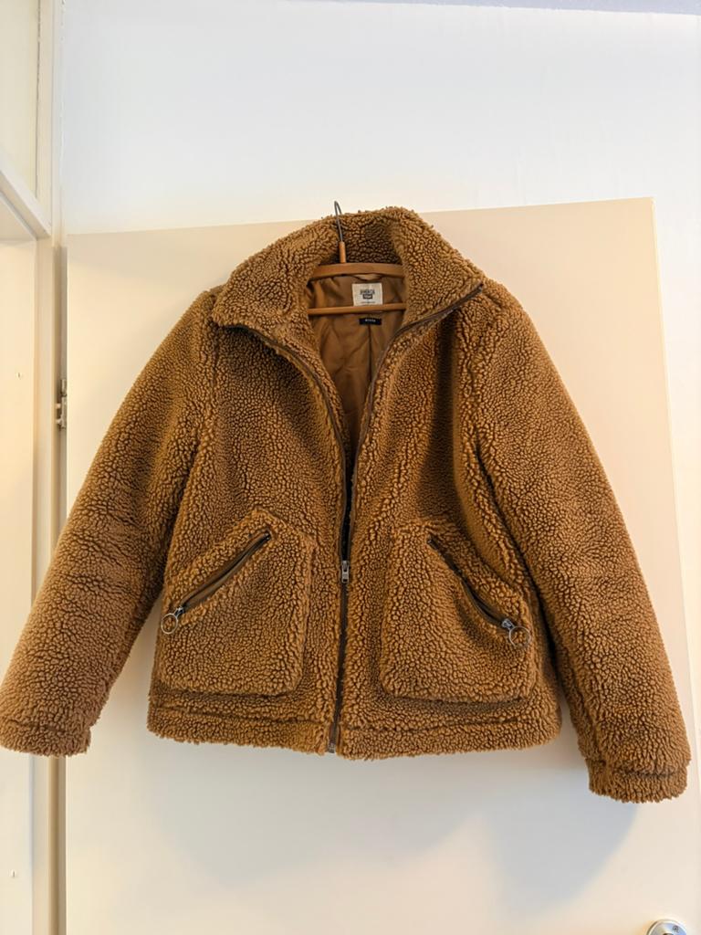 Teddy jas bruin maat M / America Today, Ophalen of Verzenden, Zo goed als nieuw, Maat 38/40 (M), Bruin