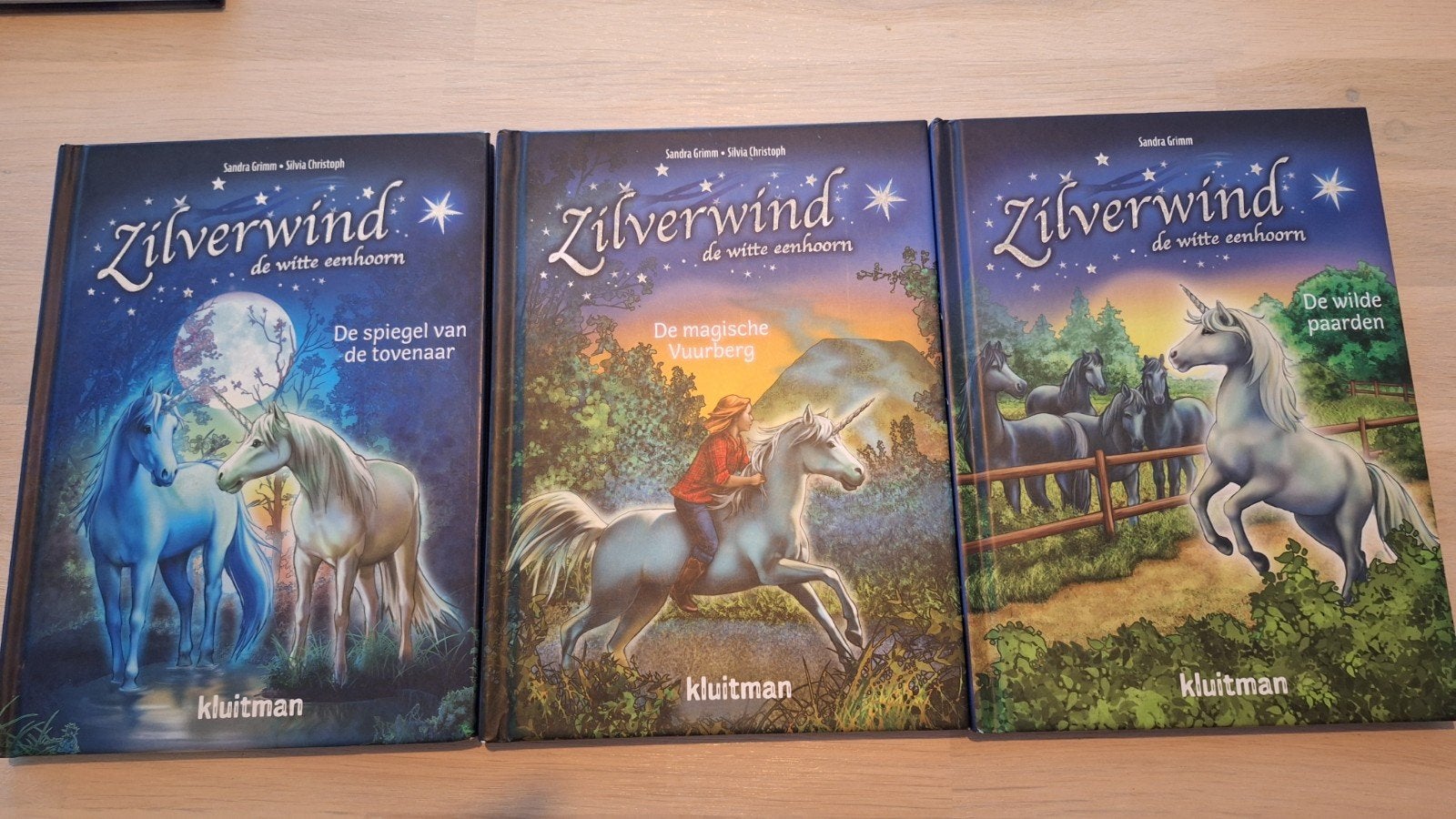 Sandra Grimm - Zilverwind, Ophalen of Verzenden, Zo goed als nieuw, Sandra Grimm, Fictie algemeen