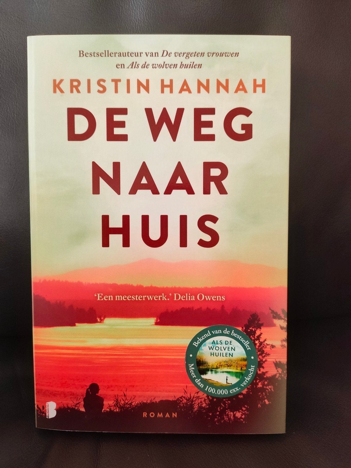 Kristin Hannah - De weg naar huis, Boeken, Ophalen of Verzenden, Zo goed als nieuw, Kristin Hannah