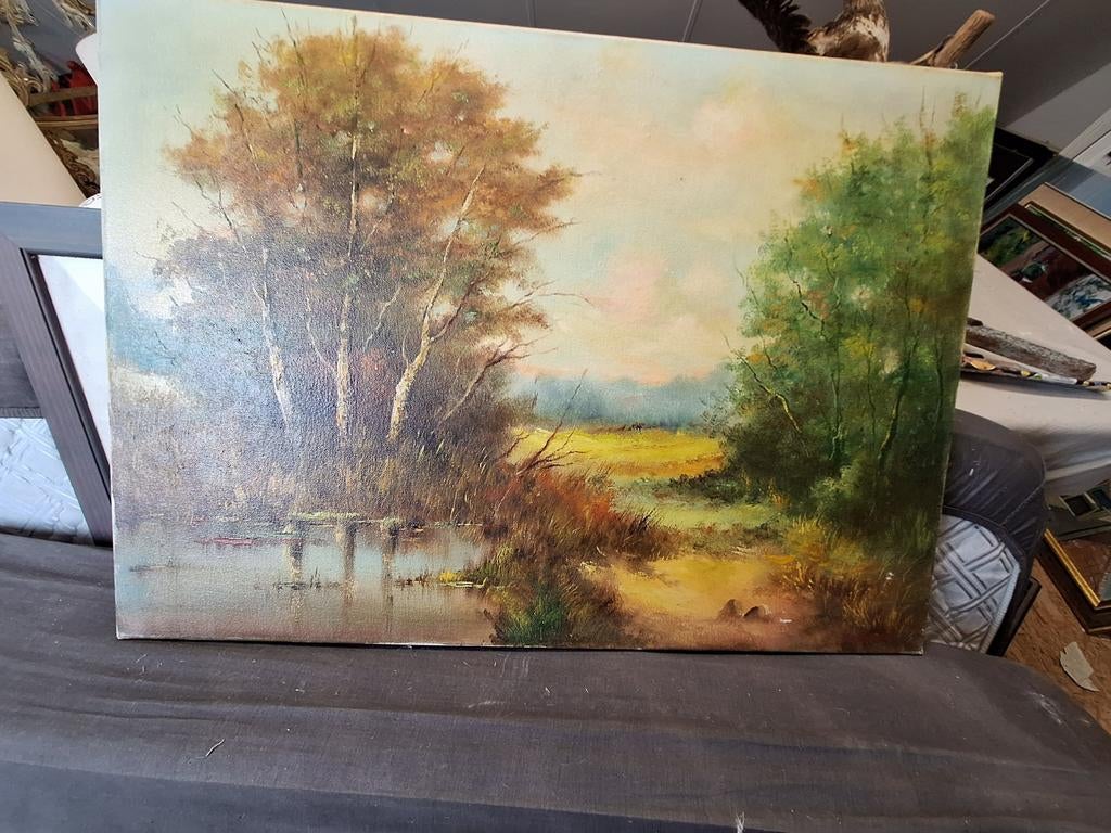 Landschap schilderij, Antiek en Kunst, Kunst | Schilderijen | Klassiek, Ophalen of Verzenden