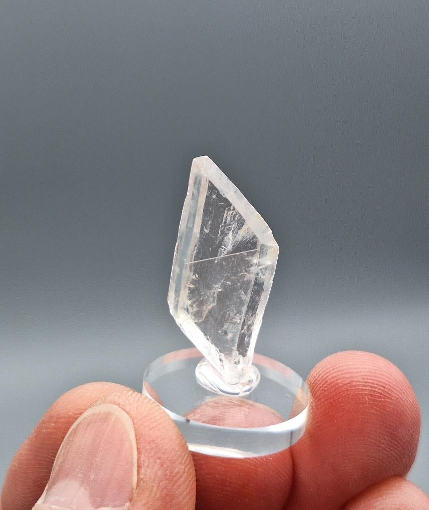 Gips kristal -  Berg Donau, Baden-Württemberg, Duitsland, Ophalen of Verzenden, Mineraal
