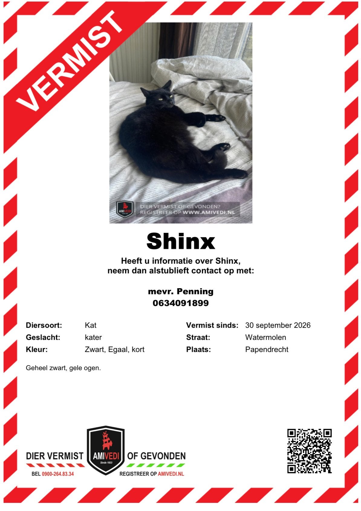 Gezocht Vermist in papendrecht zwarte kater