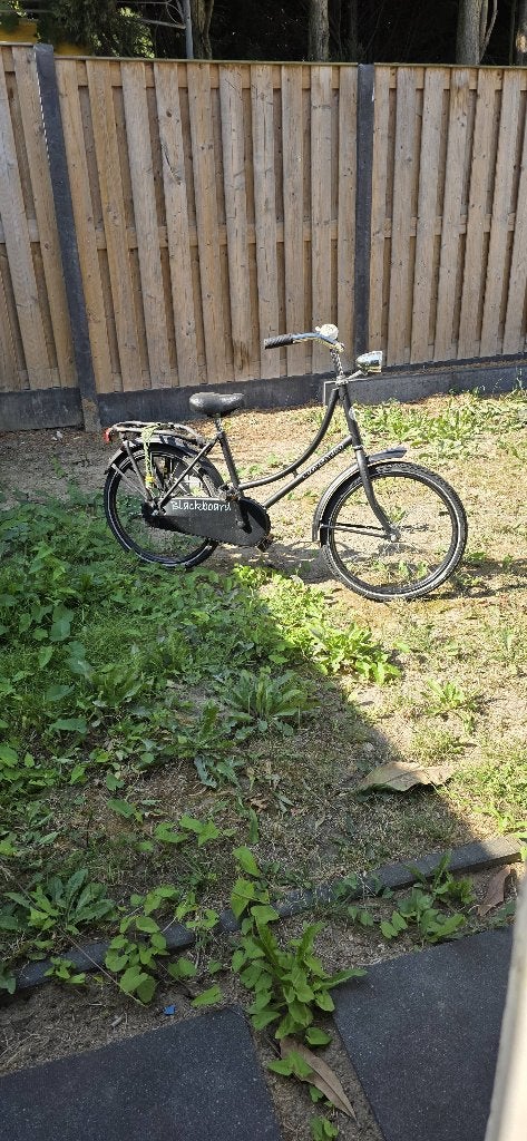 Fietsen, Fietsen en Brommers, Ophalen, Gebruikt, Minder dan 16 inch