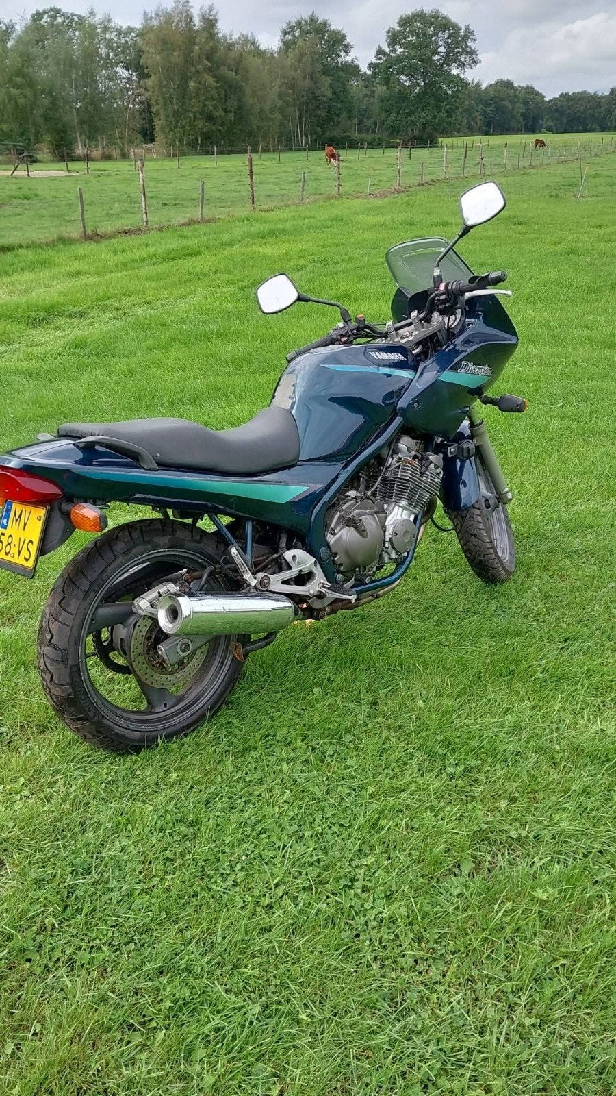 Yamaha XJ 600 Diversion - met 35<kw kit en sticker., Motoren, 4 cilinders, Gebruikt, Particulier, Toermotor
