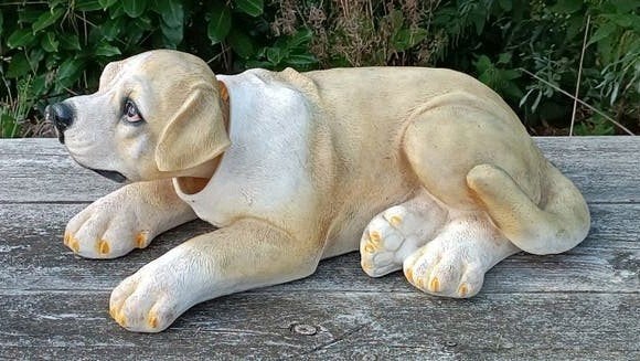 Hoedeplank/wiebelhoofd hond XXL - Decoratieve Labrador pup, Ophalen of Verzenden, Gebruikt, Dier
