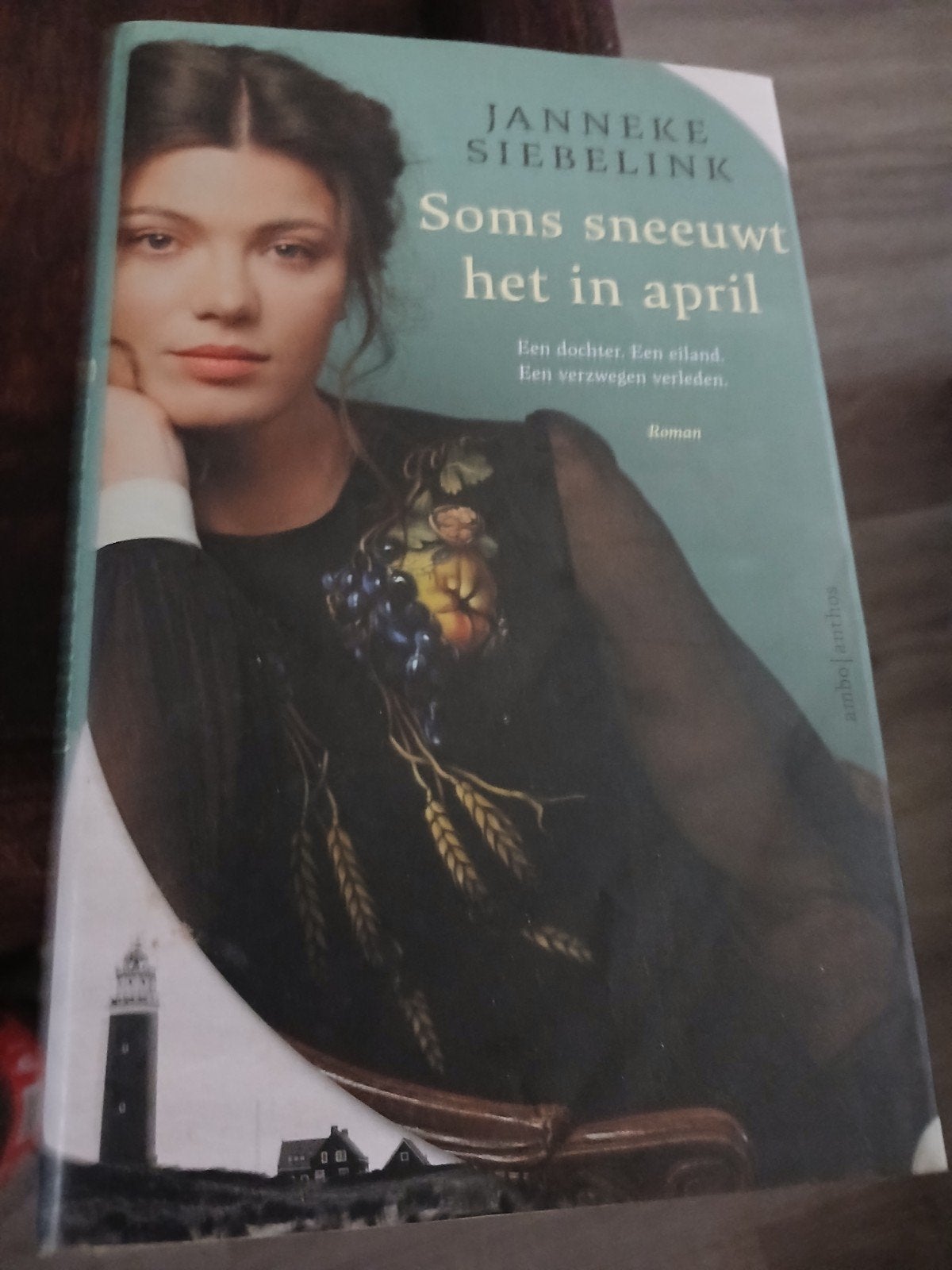 Janneke Siebelink - Soms sneeuwt het in april, Ophalen of Verzenden, Zo goed als nieuw, Janneke Siebelink