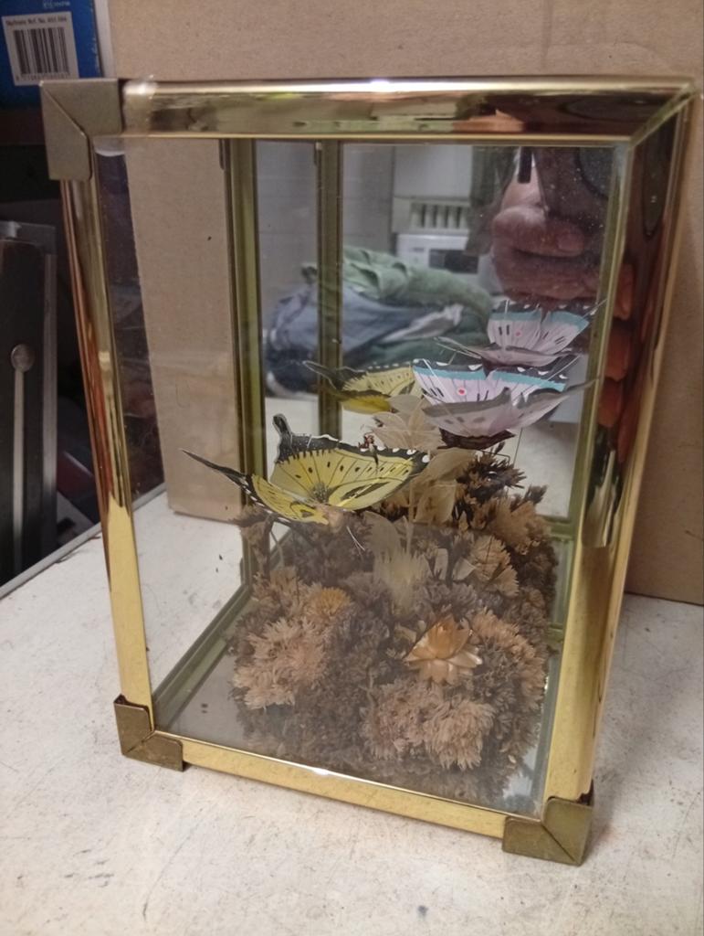 Vintage vitrine met zijde vlinders en gedroogde bloemen, Ophalen of Verzenden