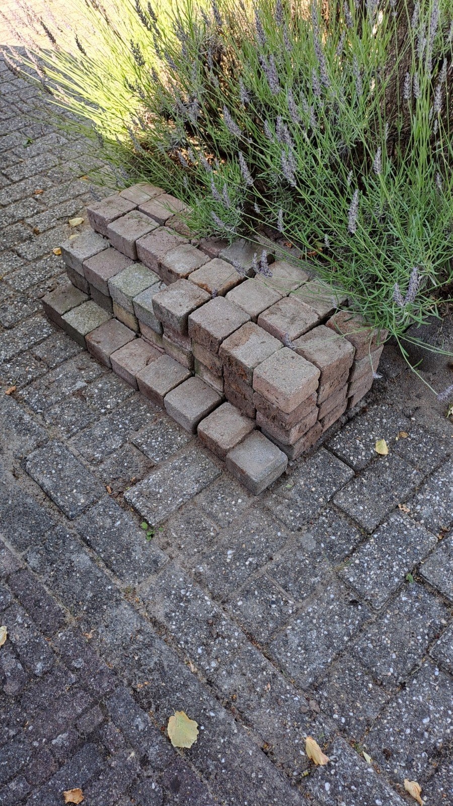 Gratis betonnen klinkers  +/- 80 stuks, Tuin en Terras, Ophalen, Gebruikt, Beton, Klinkers