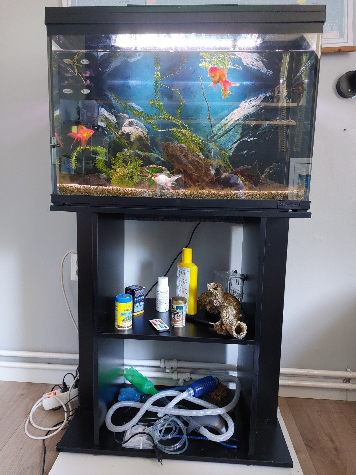 Aquarium incl vissen en accessoires., Ophalen, Zo goed als nieuw, Overige typen