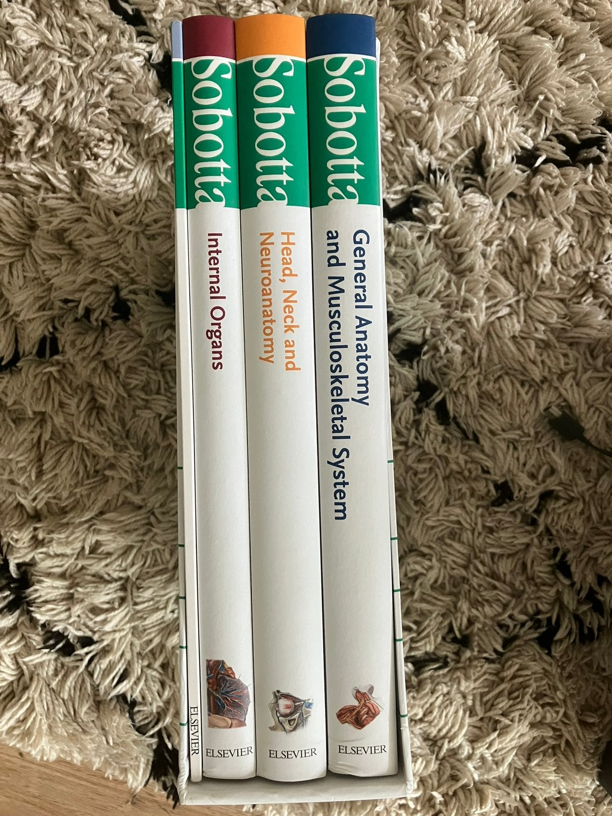 Sobotta Atlas of Anatomy 4-delig 16e editie, Ophalen of Verzenden, Zo goed als nieuw