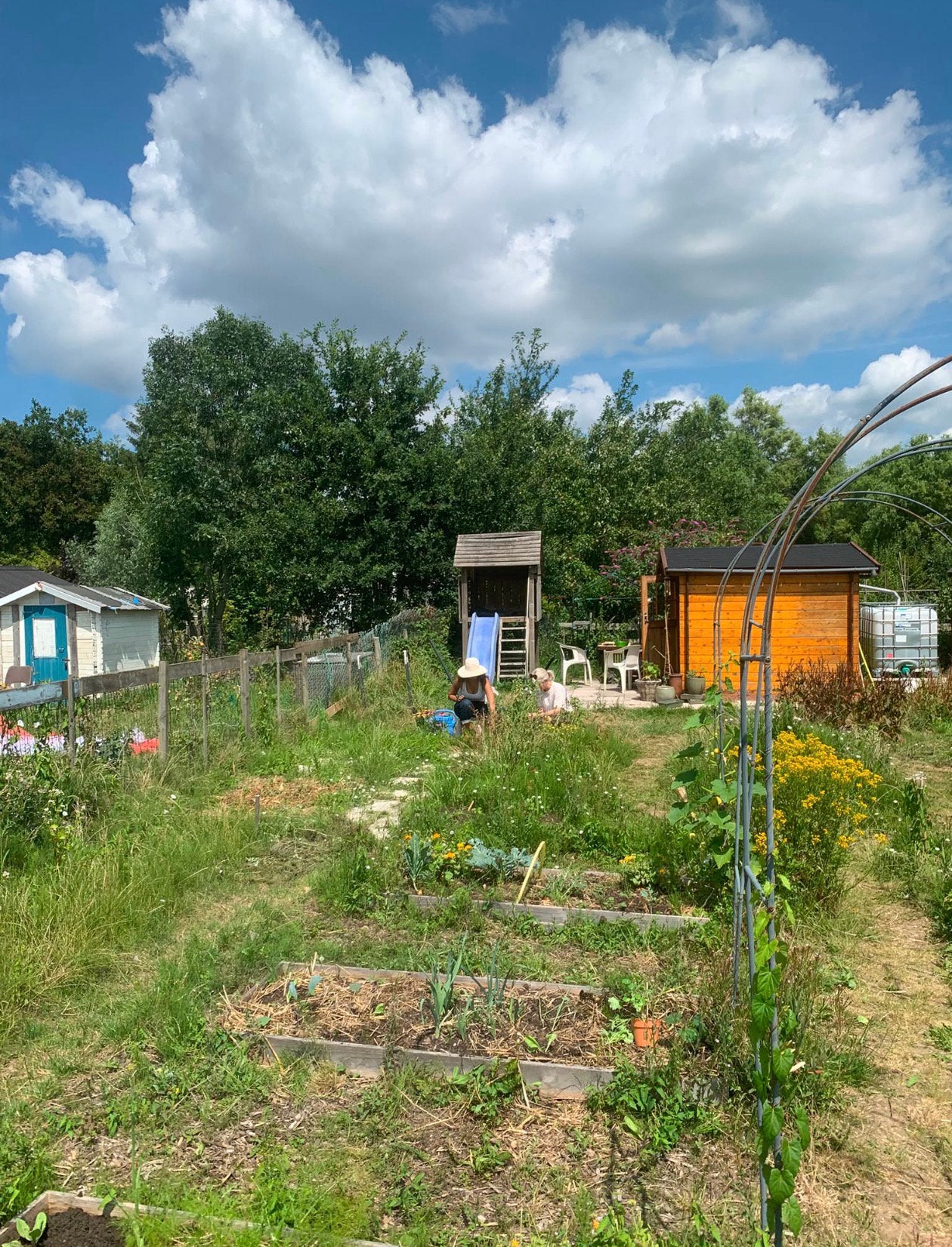 Volkstuin van ca. 200 m² ter overname, Ophalen of Verzenden, Gebruikt