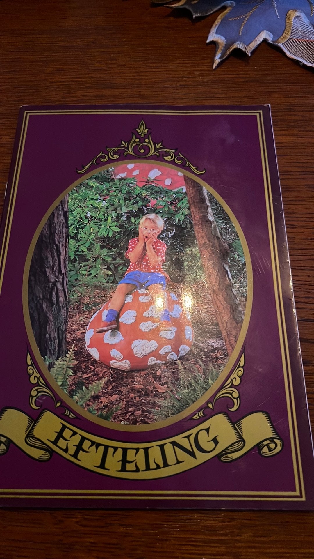Efteling jaarboekje, Verzamelen, Efteling, Ophalen of Verzenden, Gebruikt