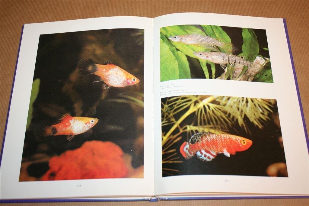 Zoetwater aquariumvissen, Ophalen of Verzenden, Gelezen, Katten
