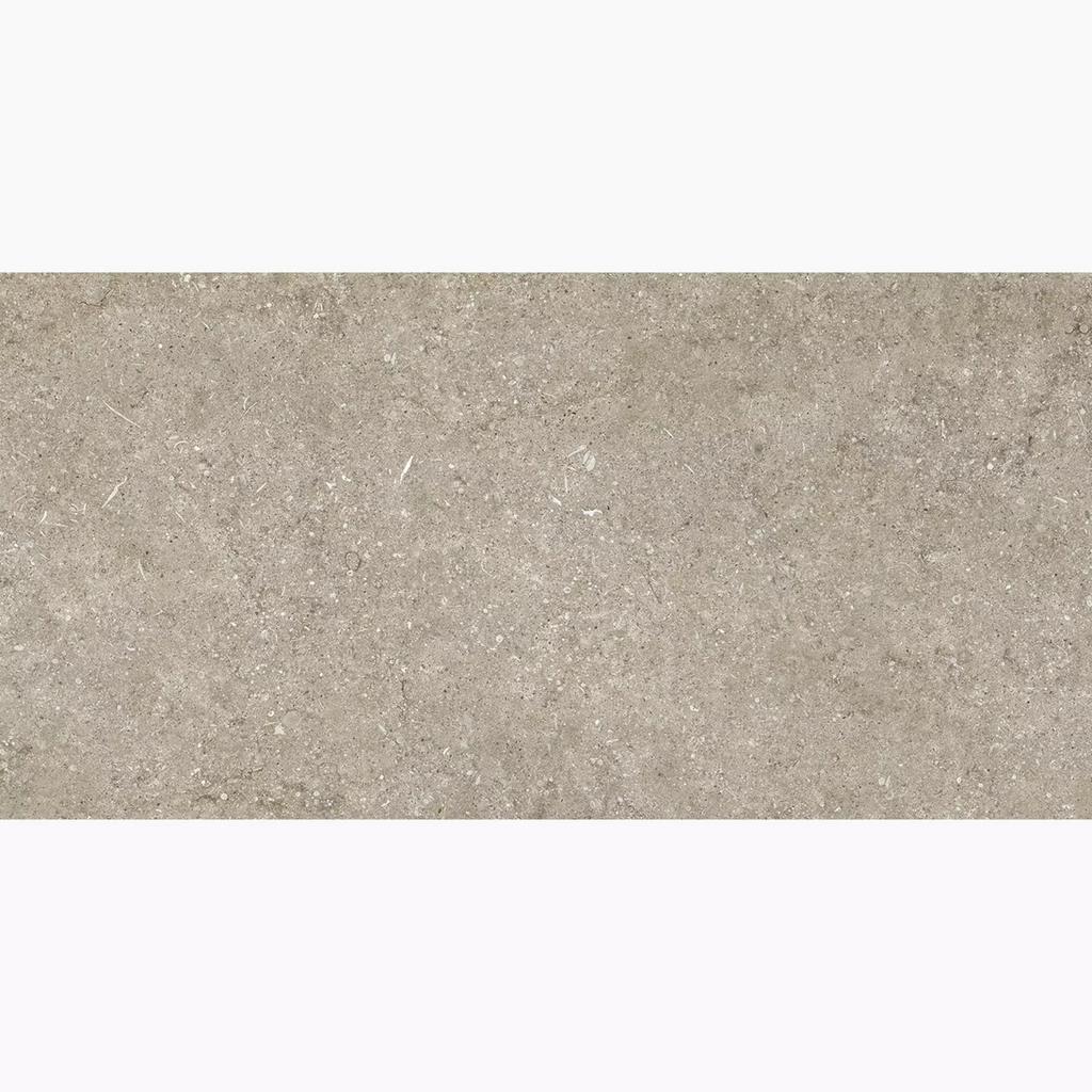15 m2 XXL Tegels 120x60 Ivory Fossil TOPDEAL 15 per m2, Doe-het-zelf en Verbouw, 60 cm of meer, Keramiek, Overige typen, Nieuw
