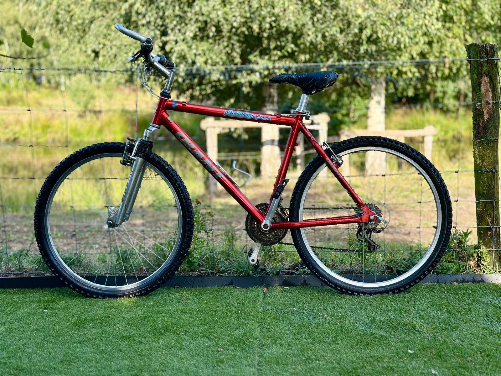 Giant Mountainbike fiets, Hardtail, Ophalen, Gebruikt, Giant