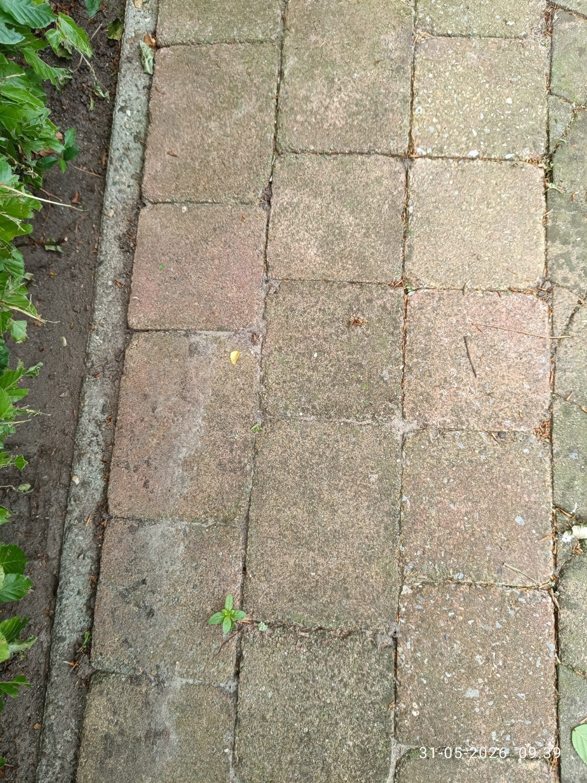 Gratis Trommel stenen 15x15x6 en 20x15x6, Tuin en Terras, Tegels en Klinkers, Ophalen of Verzenden