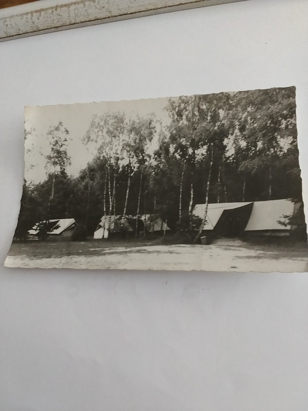 Oude foto van een scoutingkamp, circa 1940-1960, Ophalen of Verzenden, 1940 tot 1960, Ongelopen, Zuid-Holland