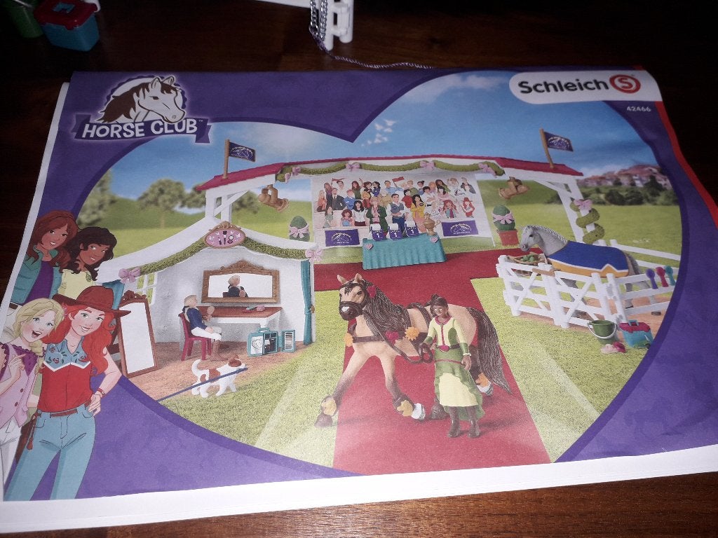 SCHLEICH HORSE CLUB SET CAT NR : 42466 in ZEER GOEDE STAAT, Ophalen of Verzenden, Zo goed als nieuw, Jongen of Meisje